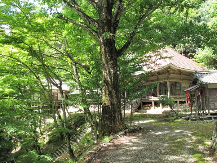 舞鶴市鹿原/鹿原山慈恩寺(金剛院)写真