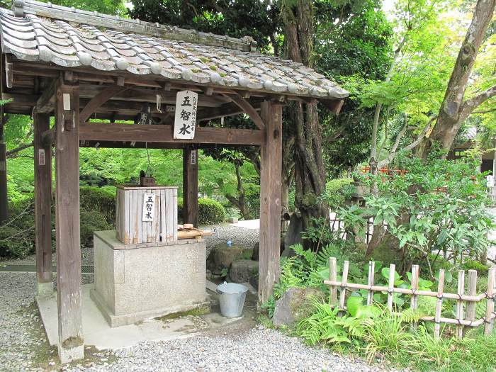 京都市東山区泉涌寺山内町/新那智山観音寺(今熊野)写真