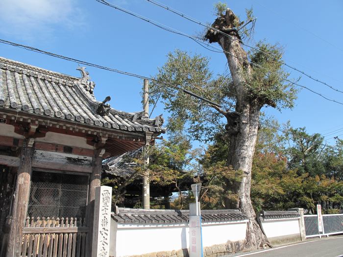 亀岡市曽我部町穴太/菩提山穴太寺写真