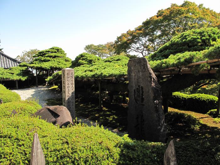 京都市西京区大原野小塩町/西山善峯寺写真