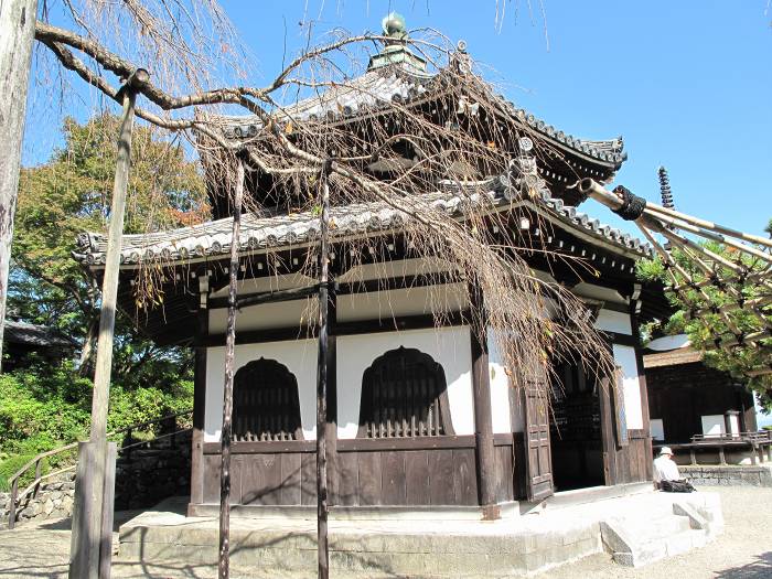 京都市西京区大原野小塩町/西山善峯寺写真