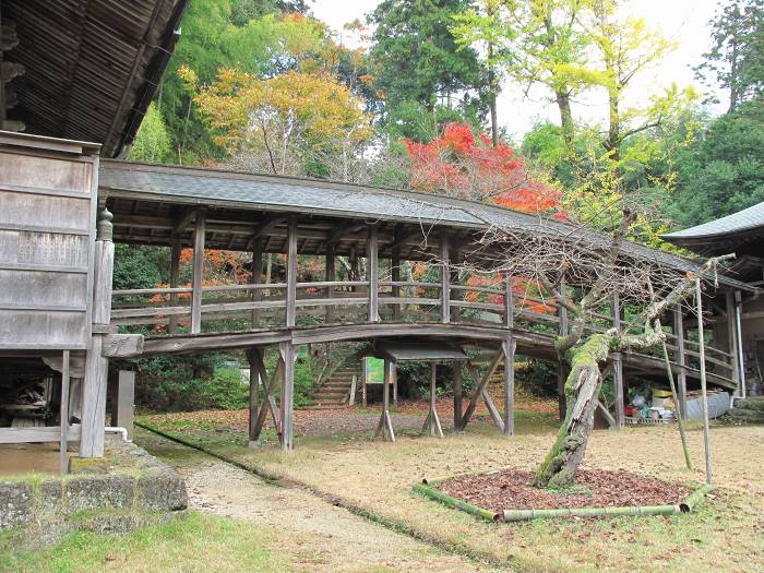 舞鶴市松尾/青葉山松尾寺写真