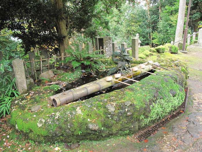 舞鶴市松尾/青葉山松尾寺写真