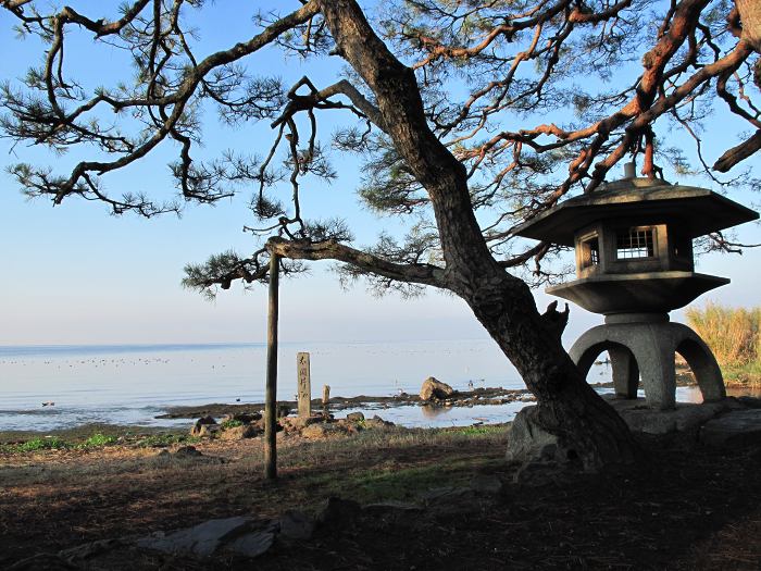 長浜市公園町/長浜城跡写真