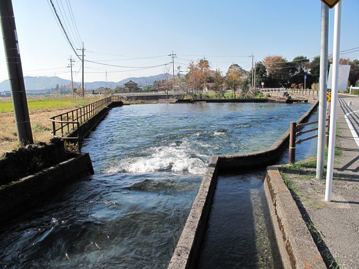 米原市小田/小田分水工写真