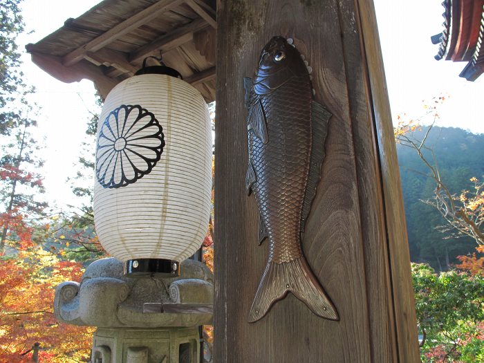 揖斐郡揖斐川町谷汲徳積/谷汲山華厳寺写真