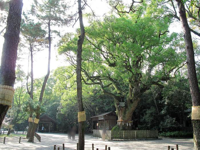 名古屋市熱田区神宮/熱田神宮写真