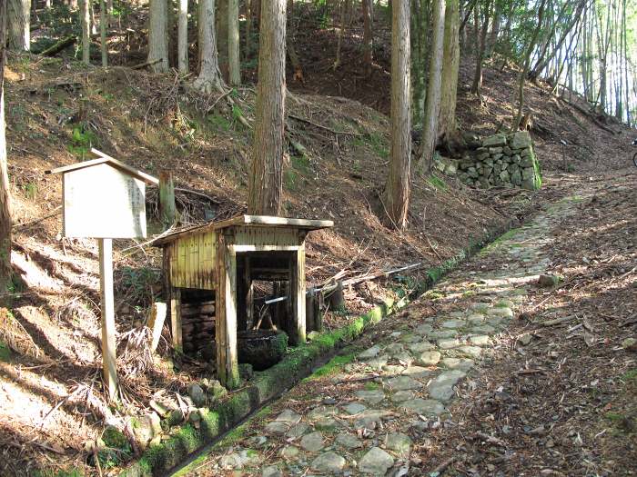 福知山市三和町菟原中/細野峠写真