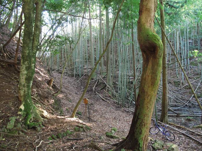 福知山市三和町菟原中/細野峠写真