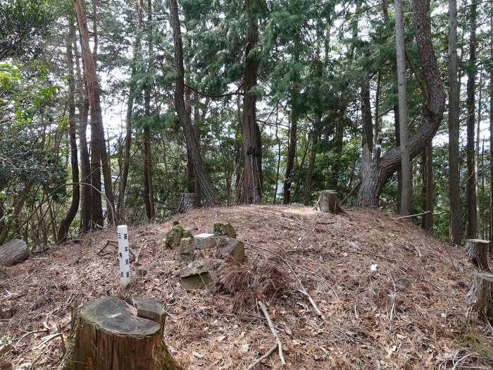 丹波市山南町青田/初原･山中･天狗山･学所