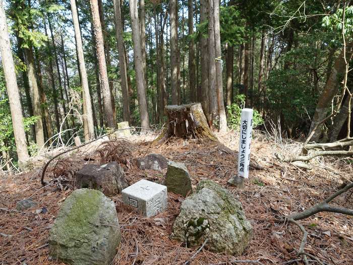 丹波市山南町青田/初原･山中･天狗山･学所