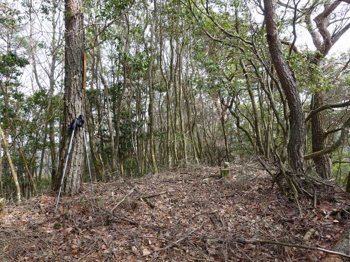 丹波市山南町青田/初原･山中･天狗山･学所