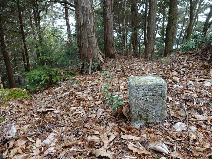 丹波市山南町青田/初原･山中･天狗山･学所