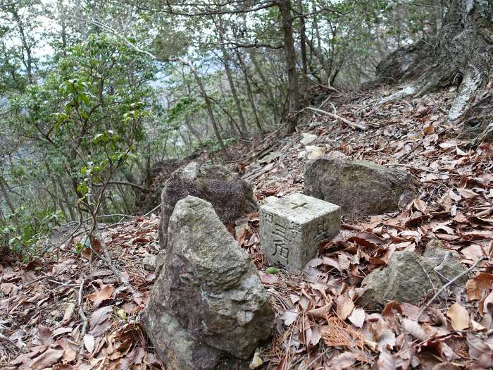 丹波市山南町青田/初原･山中･天狗山･学所