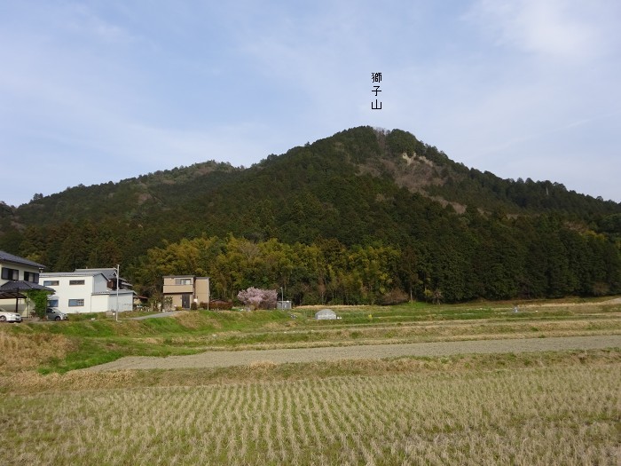 西の麓から獅子山遠望