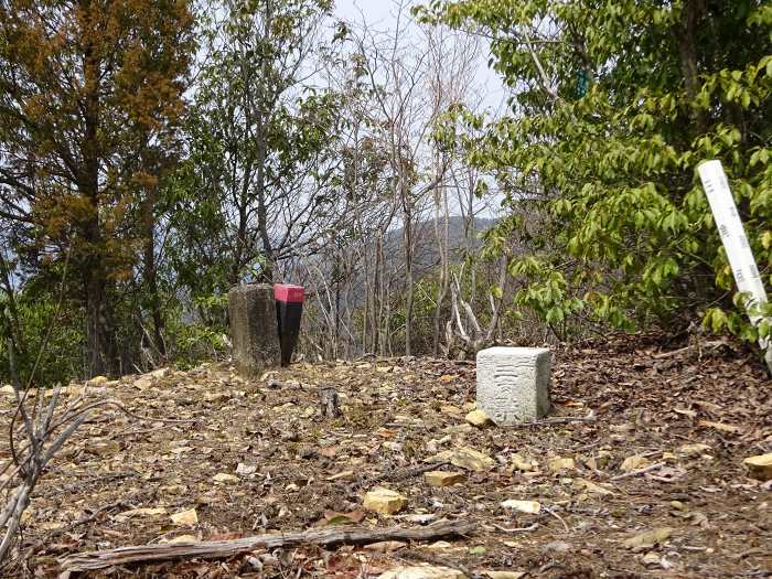 獅子山山頂の三等三角点(点名譲権現、348m)。