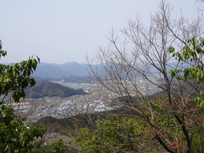 獅子山から柏原町方面の眺め良好