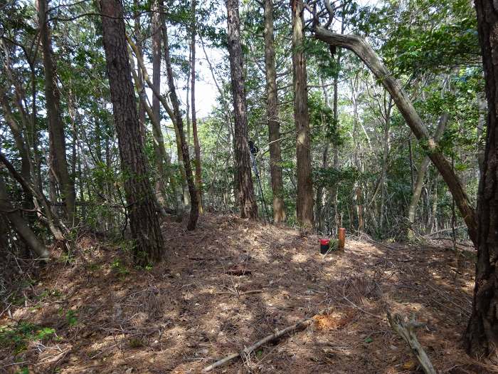 高杖山山頂(420m)。樹間から譲葉山や清水山が見える