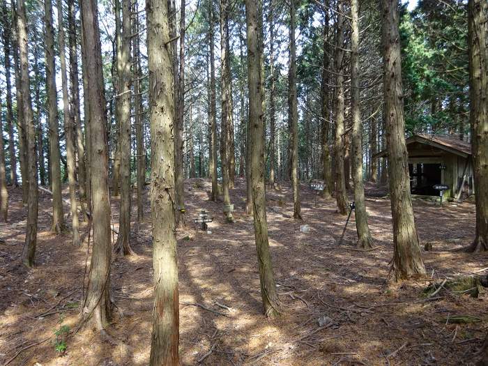 譲葉山山頂。ヒノキ林の中に譲葉神社と書かれた譲葉権現堂がある