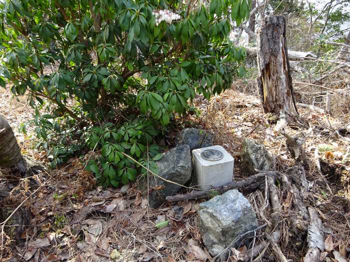 譲葉山から西へ延びる尾根上に四等三角点(点名藤ノ目南、467m)がある