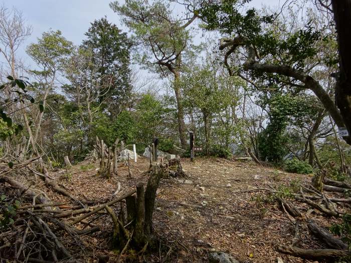 譲葉山の北へ延びる尾根上に権現山(岩尾)がある