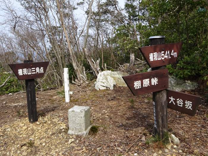 権現山の三等三角点(点名権現山、541m)。譲葉山から権現山を経由し清水山、向山への縦走コースになっている