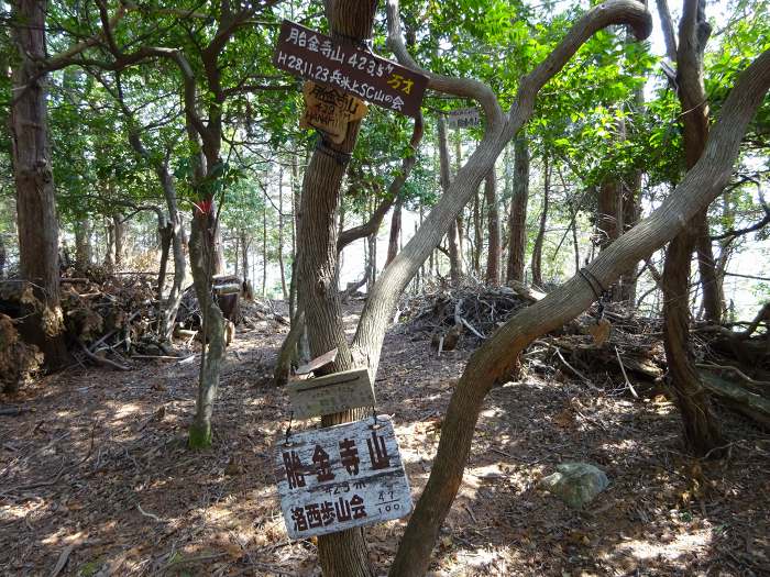 南丹市園部町宍人/胎金寺山写真