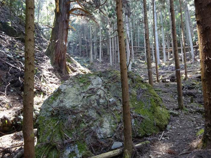 南丹市園部町宍人/胎金寺山写真