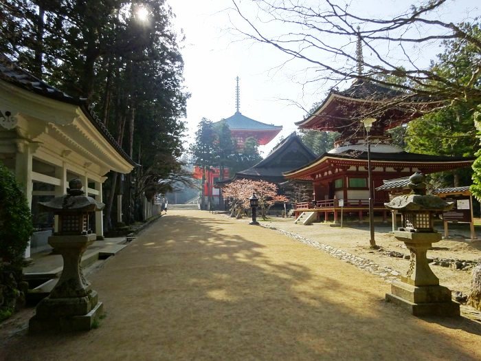 伊都郡高野町高野山/高野山金剛峯寺、高野山奥之院