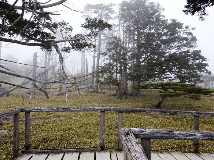 多気郡大台町/大台ヶ原山