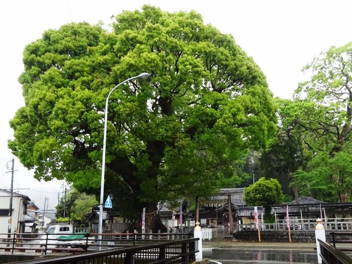 尾鷲市北浦町/尾鷲神社