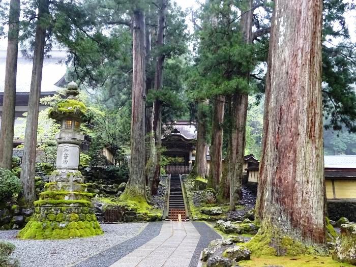 吉田郡永平寺町志比/吉祥山永平寺