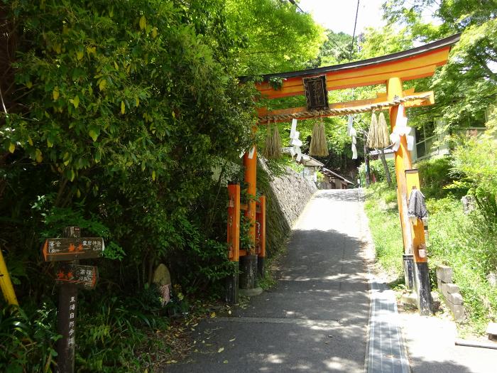 京都市右京区嵯峨愛宕町/愛宕山