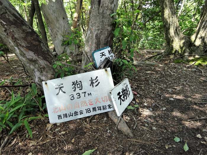 京都市左京区花脊別所町/旧花脊峠