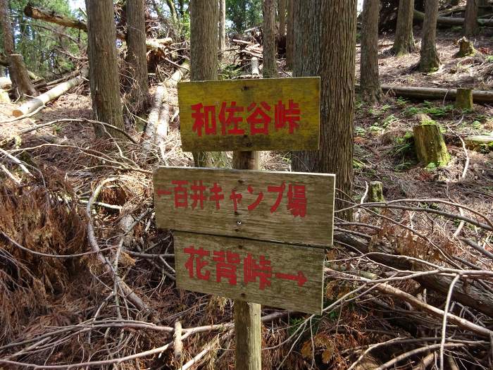 京都市左京区花脊別所町/花脊峠