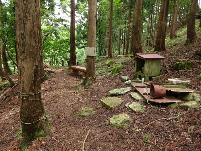 小浜市上根来/根来坂峠(針畑峠)