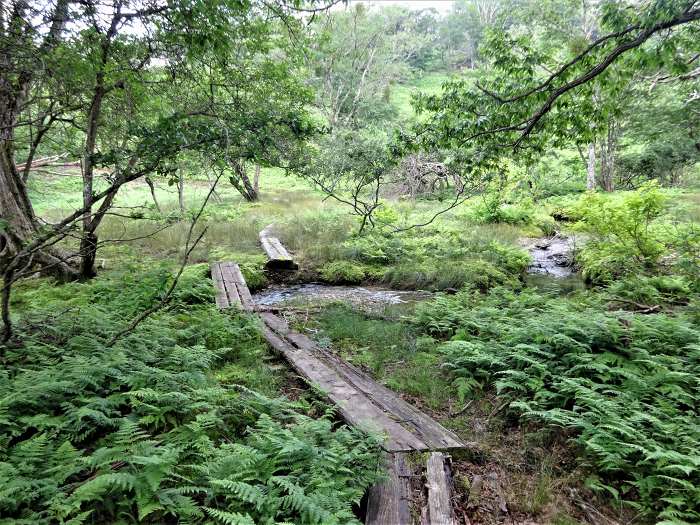 京都市左京区久多下の町/峰床山