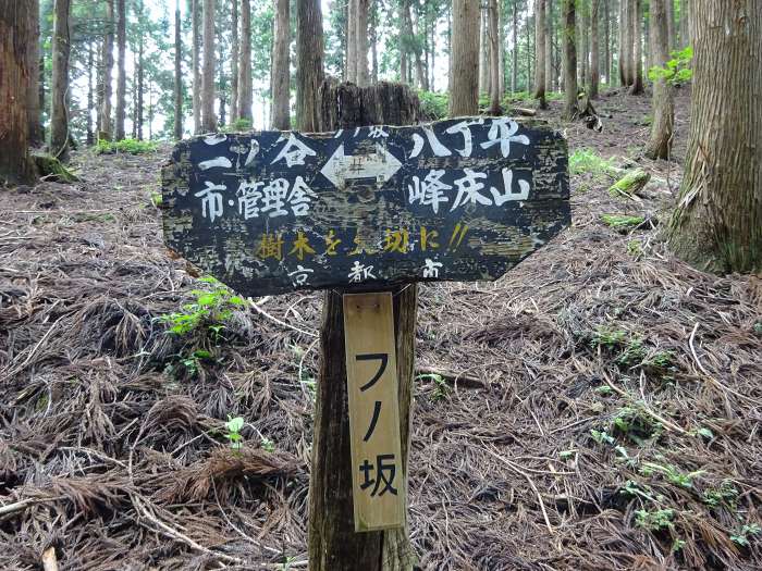 京都市左京区久多下の町/峰床山