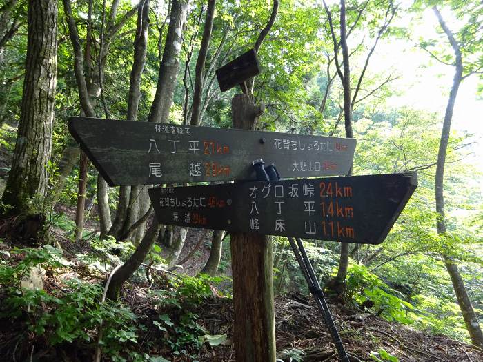 京都市左京区久多下の町/峰床山