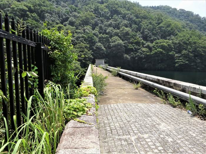 神戸市中央区葺合町/布引五本松ダム