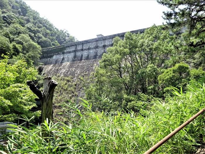 神戸市中央区葺合町/布引五本松ダム