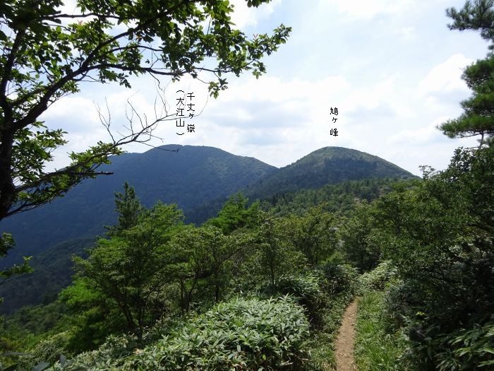 鳩ヶ峰