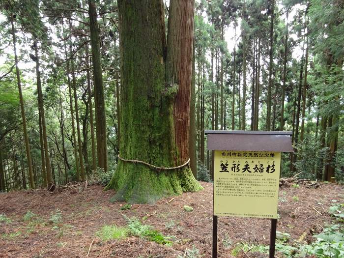 笠形神社