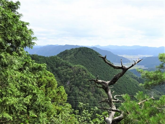 五大山眺め