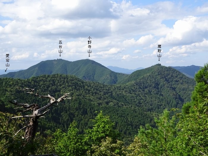 五大山から北方向の眺め