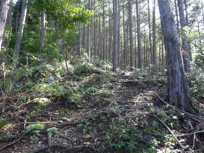 丹波市山南町小新屋/石金山