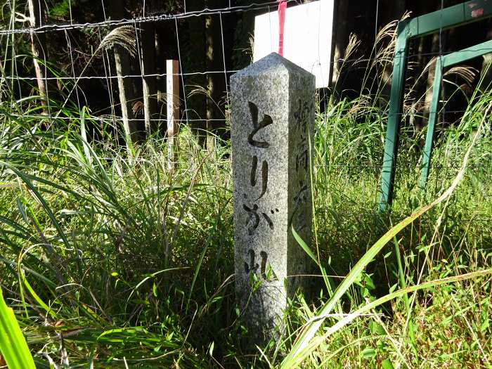 宍粟市千種町岩野辺/鳥ヶ乢