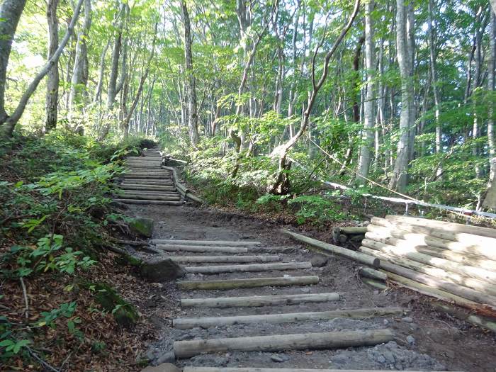 西伯郡大山町大山/大山(弥山)