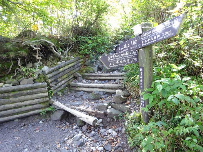 西伯郡大山町大山/大山(弥山)