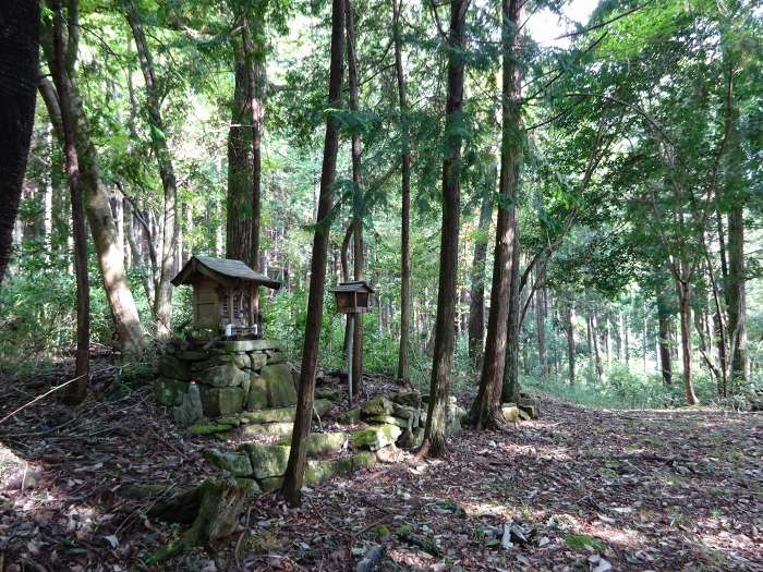 三田市乙原/千丈寺山